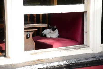 DSC_2479 (Large).JPG